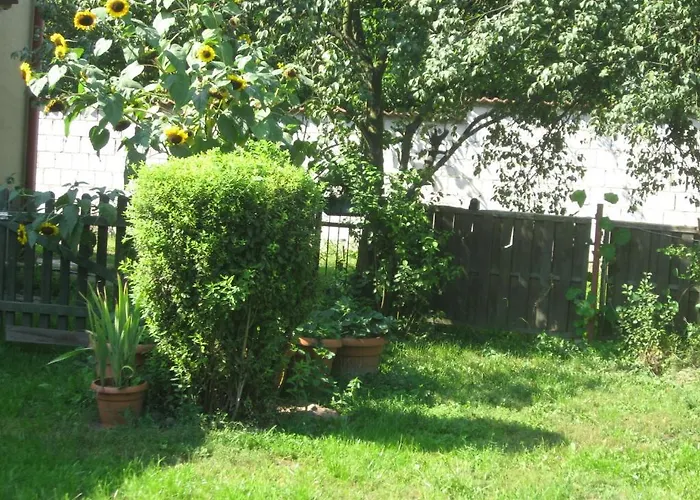 Homestay Pokoje Goscinne Pod Wiatrakiem Kiekrz